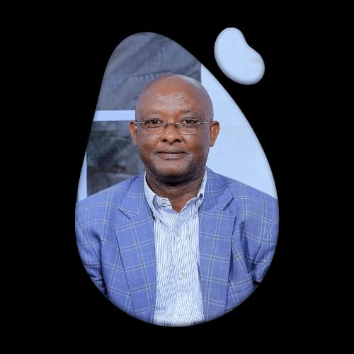 egalis CEO jean marie viannry nishemezwe image